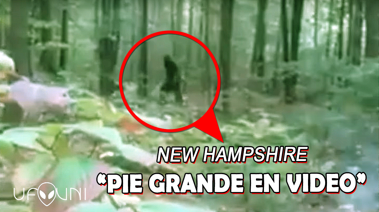 Residente de New Hampshire captura posibles imágenes de Pie Grande